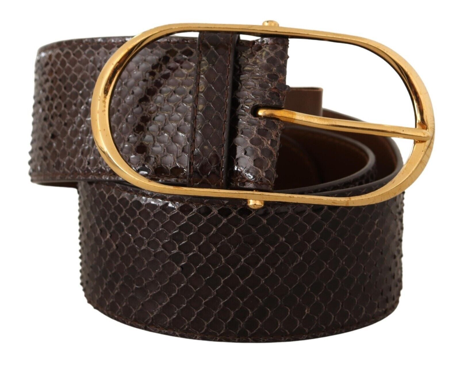 Dolce & Gabbana Eleganter Pythonledergürtel mit goldener Schnalle