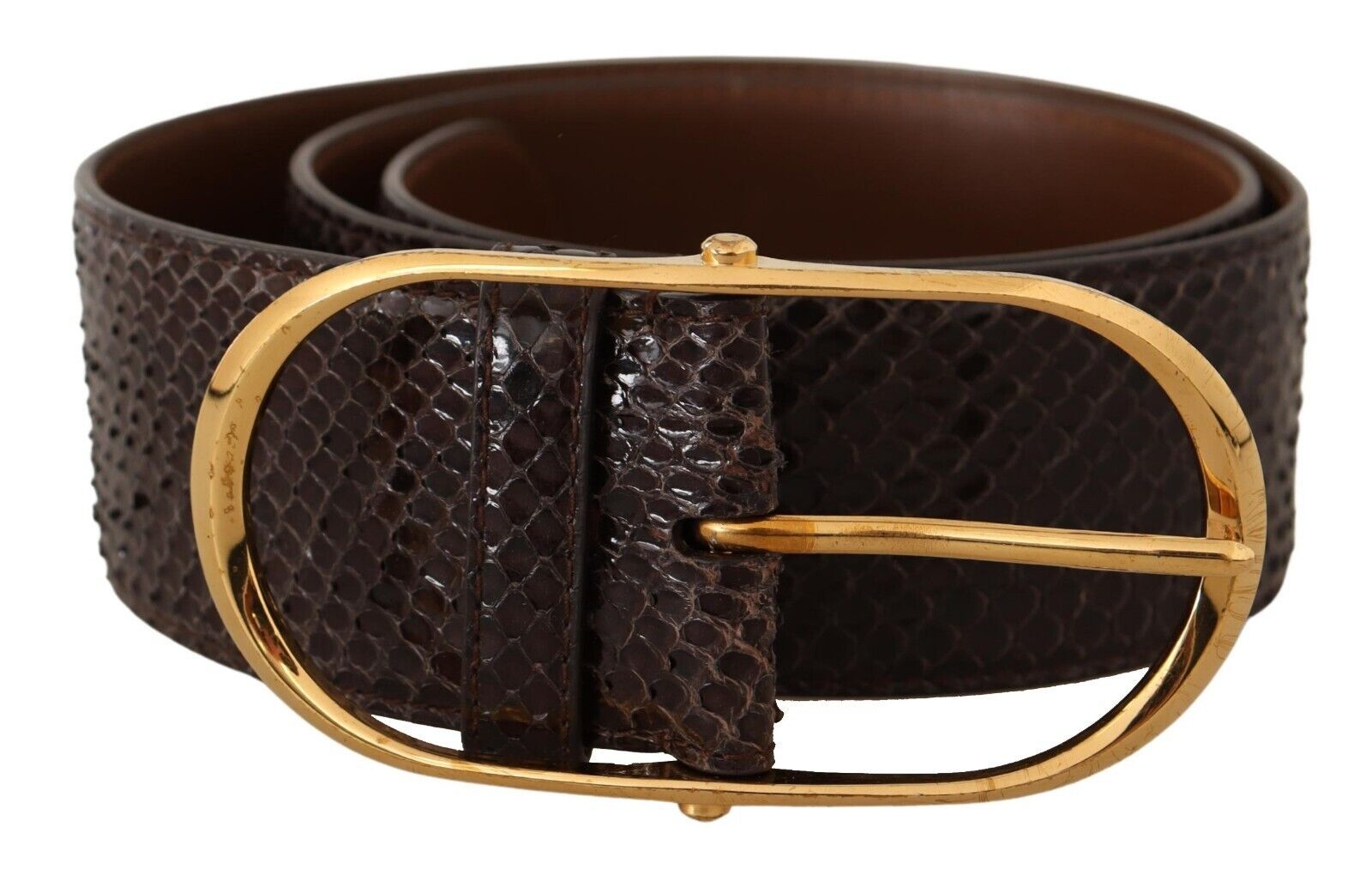 Dolce & Gabbana Eleganter Pythonledergürtel mit goldener Schnalle
