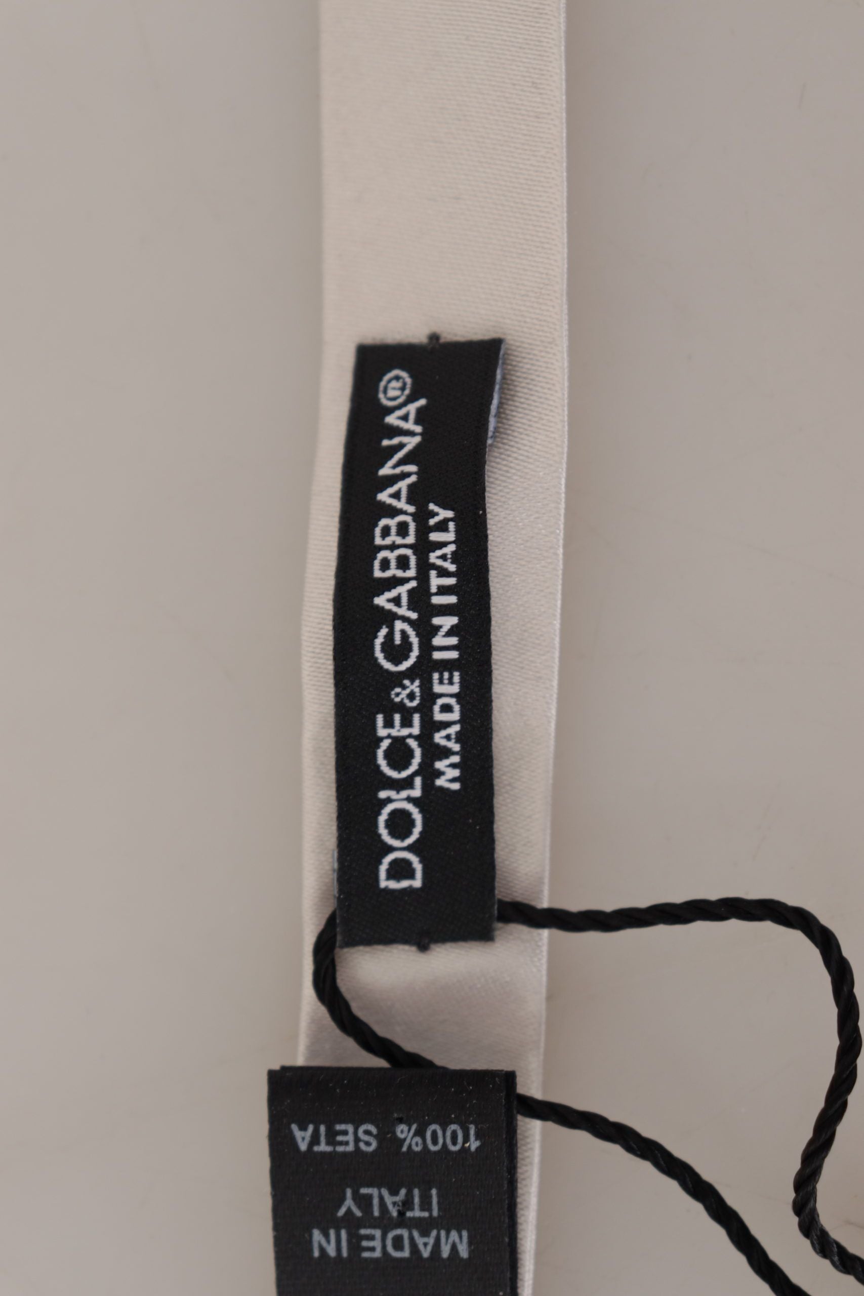 Papion Dolce & Gabbana Exquisite Mesh Grey