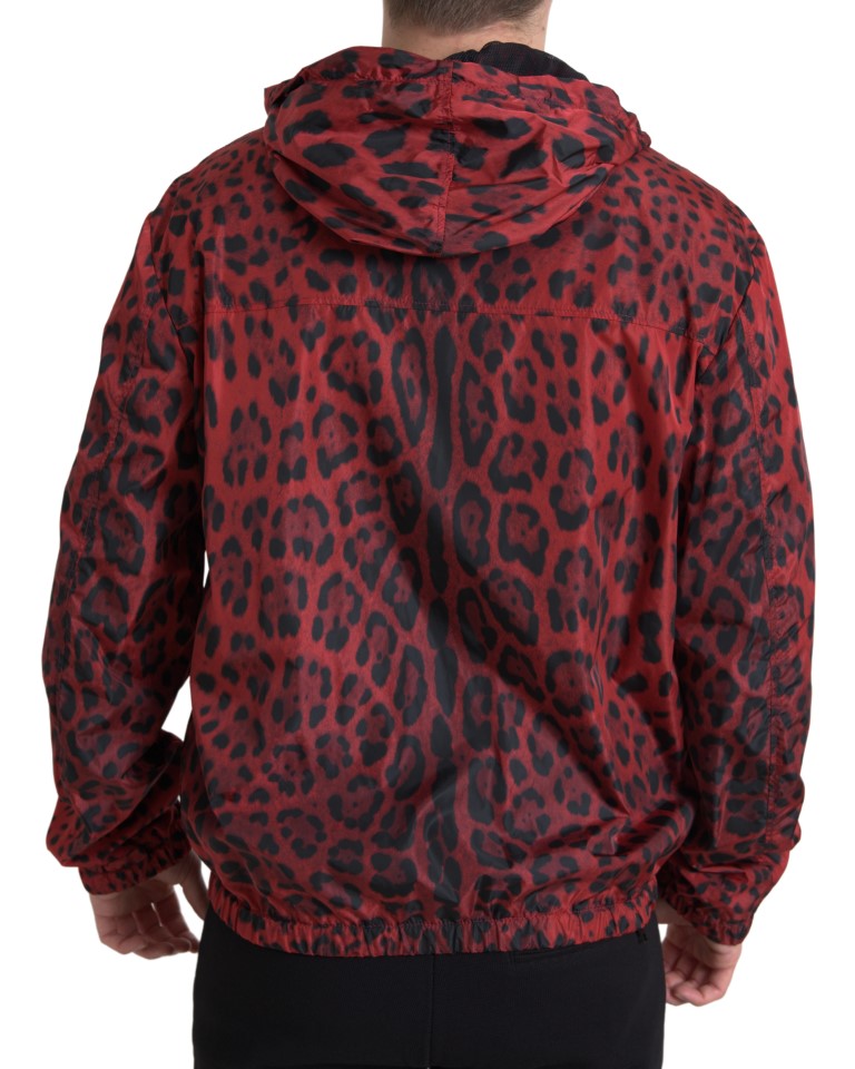 Dolce & Gabbana Jachetă bomber cu glugă și imprimeu leopard roșu