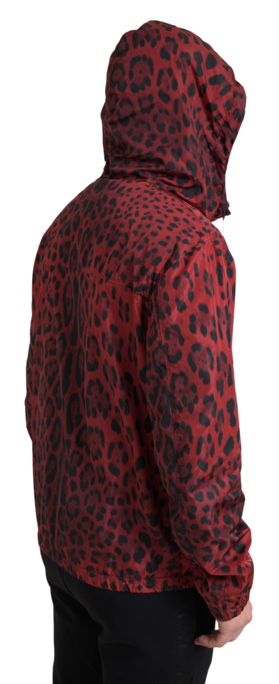 Dolce & Gabbana Jachetă bomber cu glugă și imprimeu leopard roșu