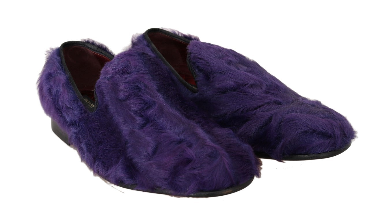 Dolce & Gabbana – Plüsch-Loafer aus lila Schafspelz