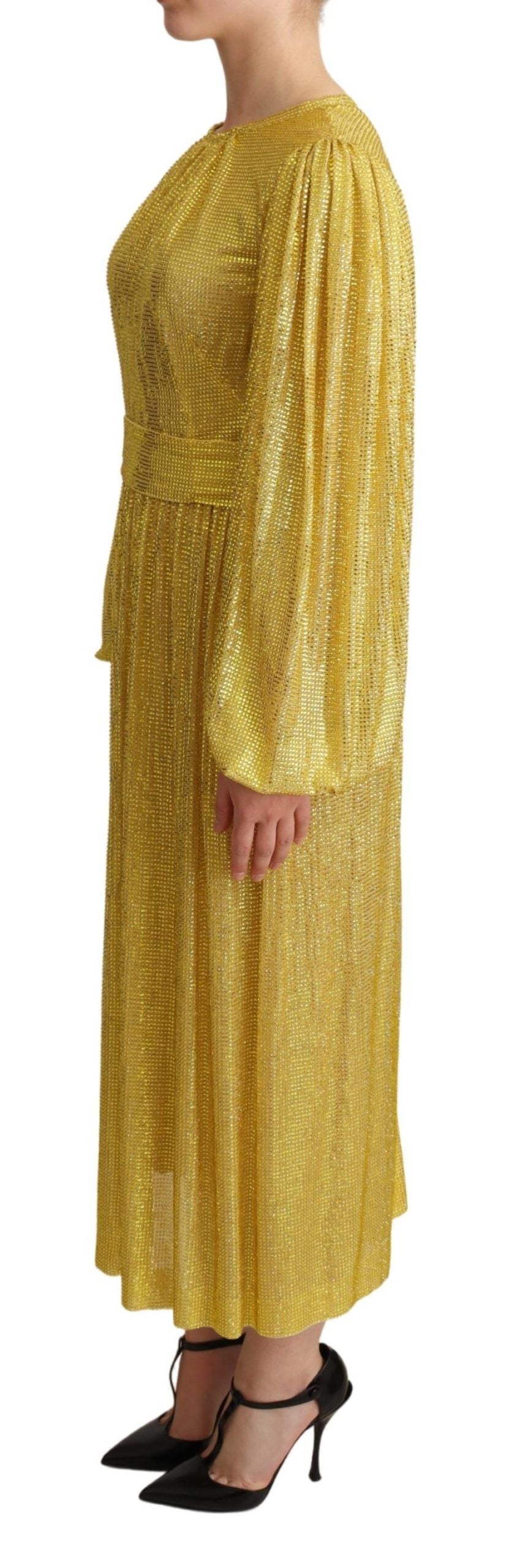 Rochie maxi plisată cu cristale Dolce &amp; Gabbana