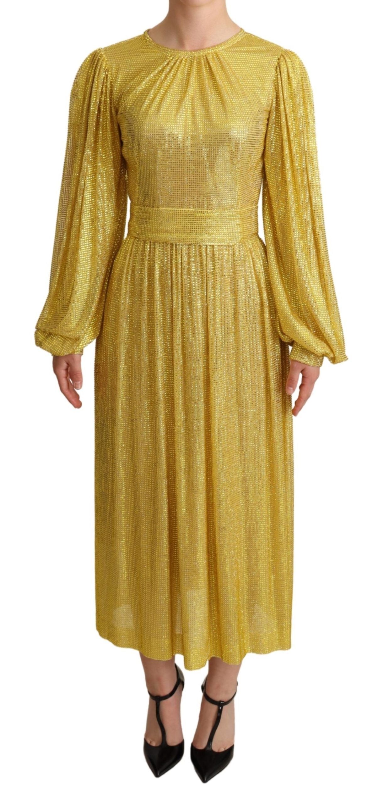 Rochie maxi plisată cu cristale Dolce &amp; Gabbana