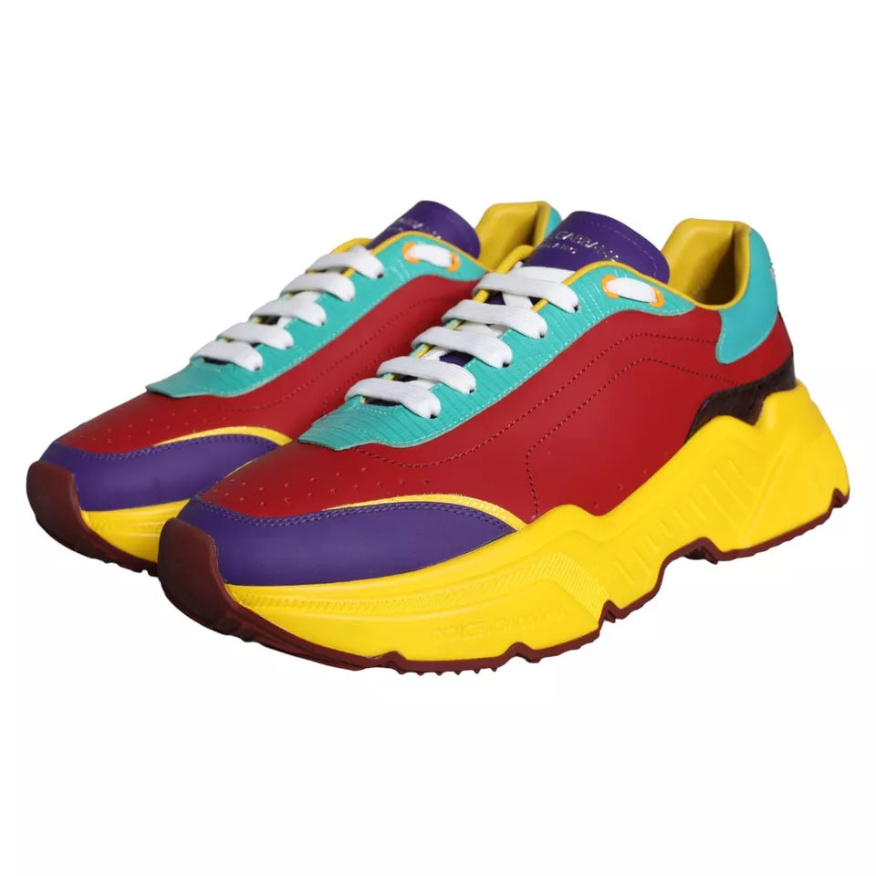 Dolce &amp; Gabbana Mehrfarbige Daymaster Low Top Sneakers Schuhe