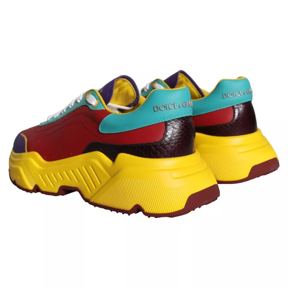 Dolce &amp; Gabbana Mehrfarbige Daymaster Low Top Sneakers Schuhe