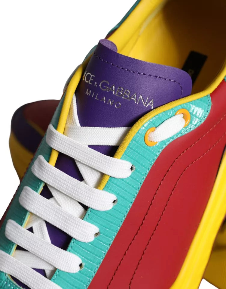 Dolce &amp; Gabbana Mehrfarbige Daymaster Low Top Sneakers Schuhe