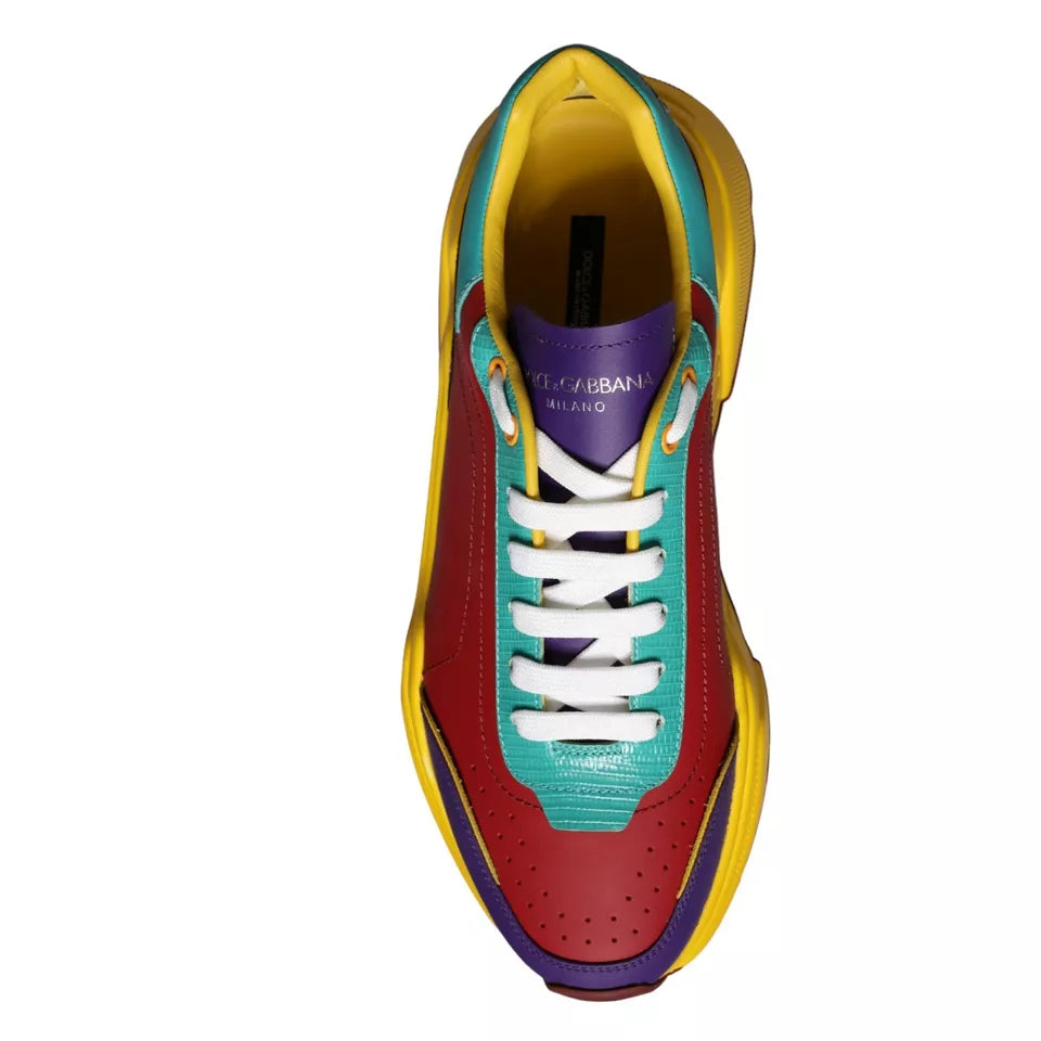 Dolce &amp; Gabbana Mehrfarbige Daymaster Low Top Sneakers Schuhe