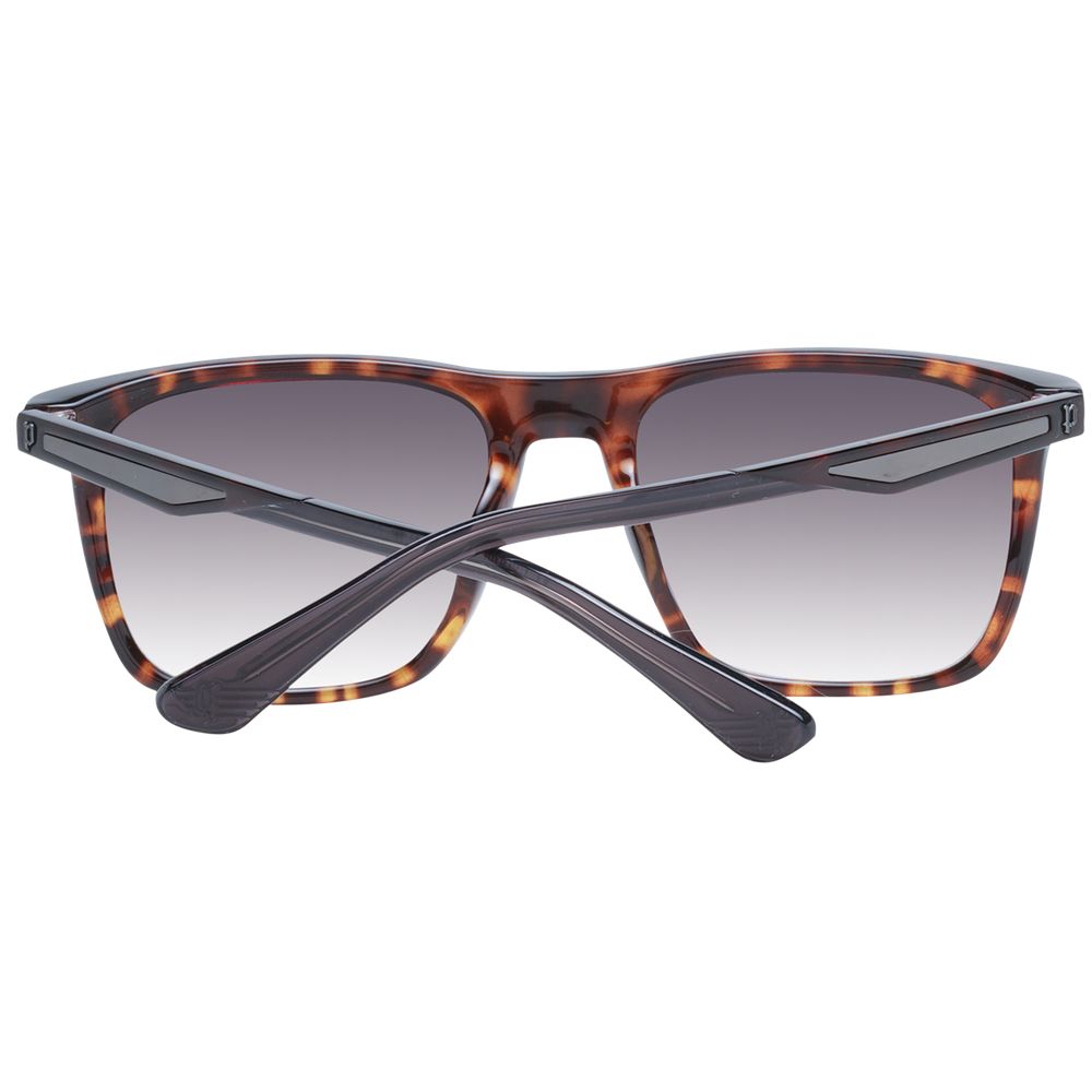 Police Braune Herren Sonnenbrille
