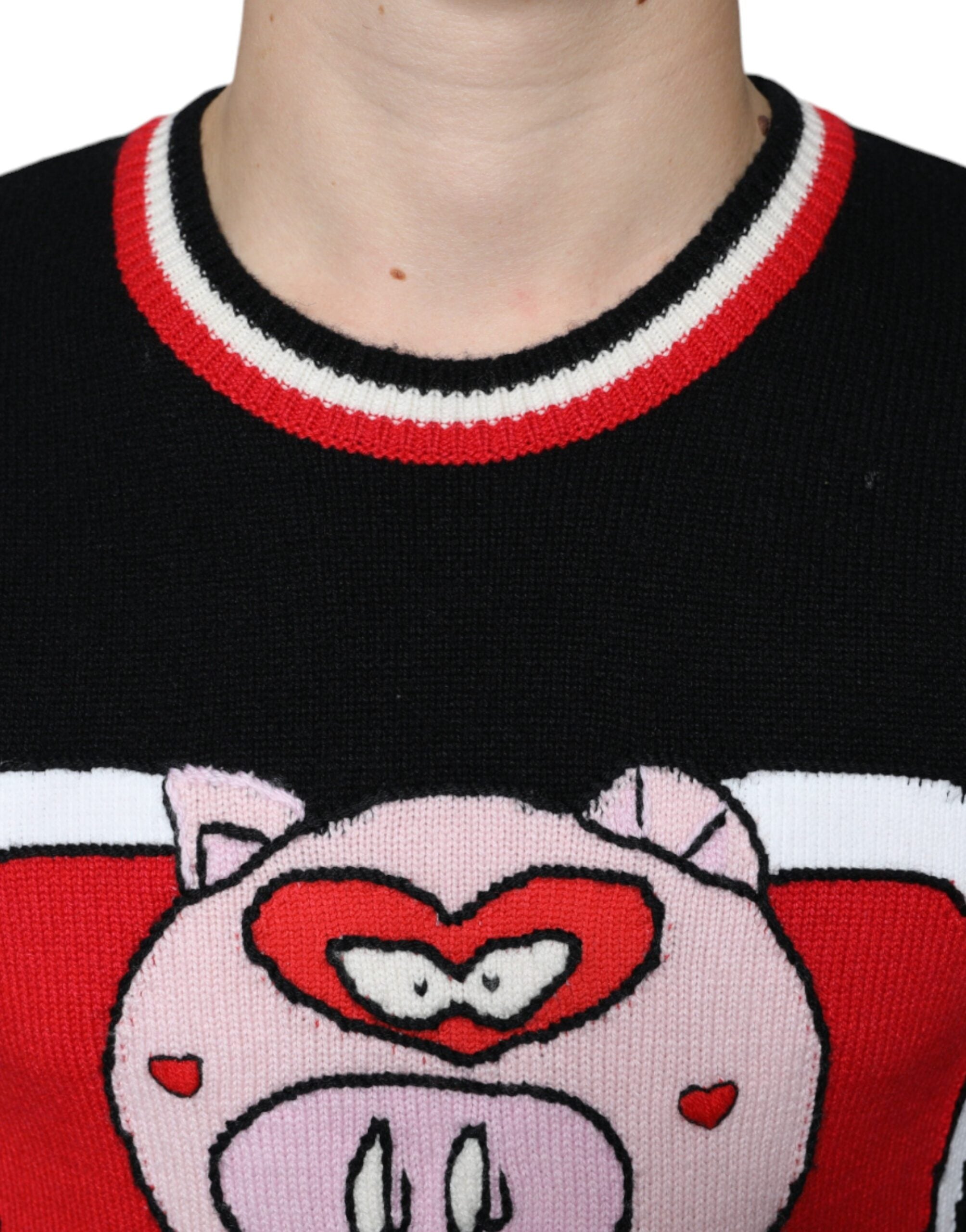 Dolce &amp; Gabbana – Pullover „Schwein des Jahres“ aus schwarzem Kaschmir