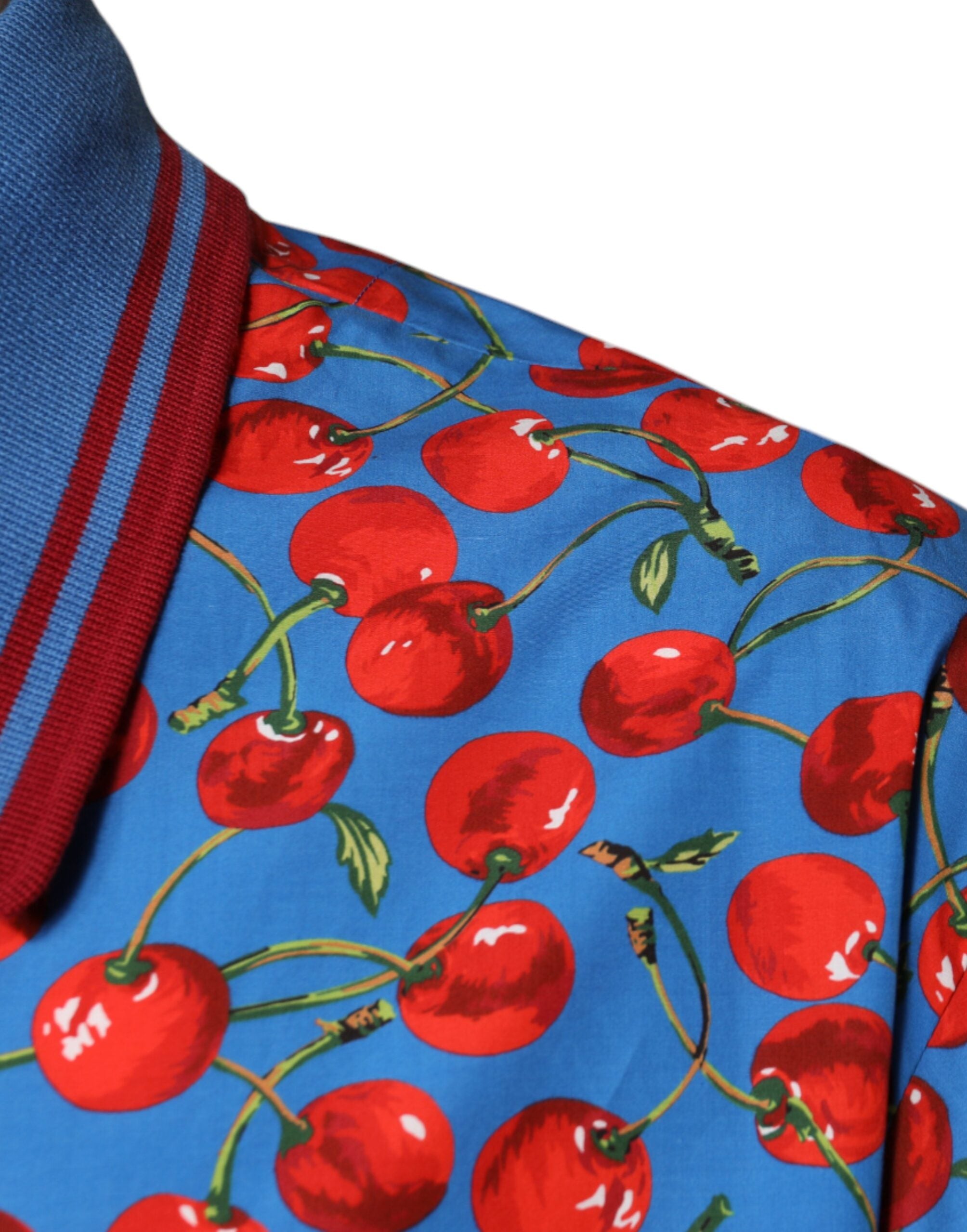 Dolce &amp; Gabbana Herren Poloshirt aus Baumwolle mit Kragen in Blaukirsche