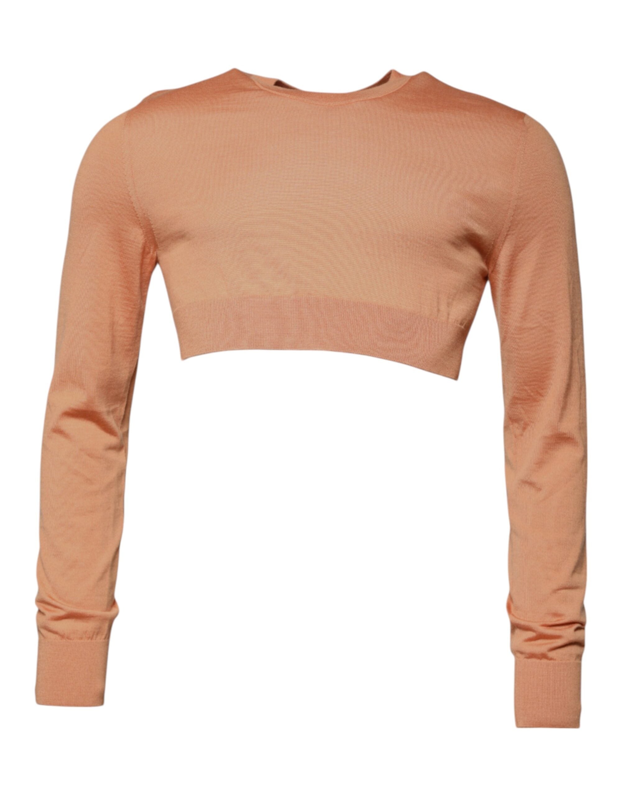 Dolce &amp; Gabbana – Kurzer Pullover aus Wolle mit Rundhalsausschnitt in Beige